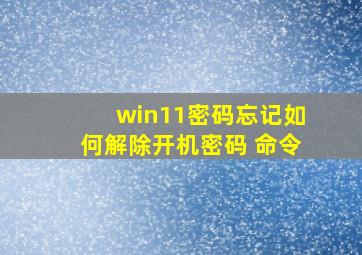 win11密码忘记如何解除开机密码 命令